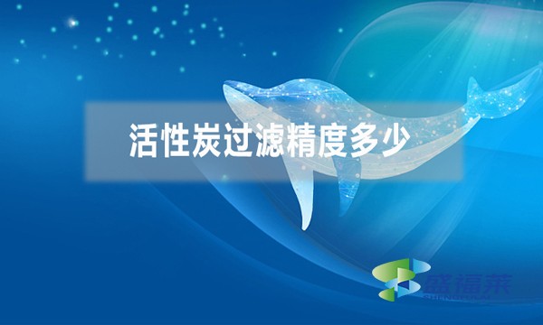 活性炭過濾精度多少，能過濾多大的雜質(zhì)？