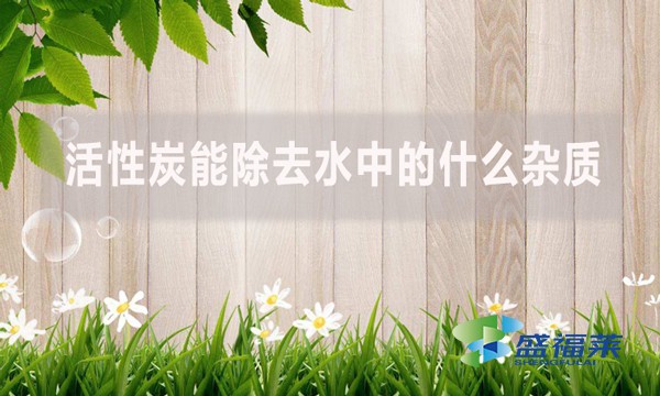 活性炭能除去水中的什么雜質(zhì)？
